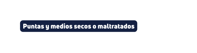 Puntas y medios secos o maltratados